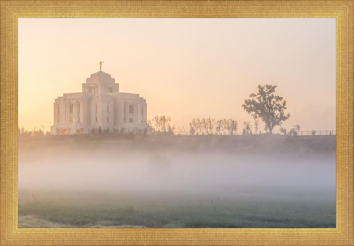 Meridian Morning Fog