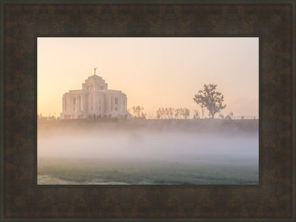 Meridian Morning Fog