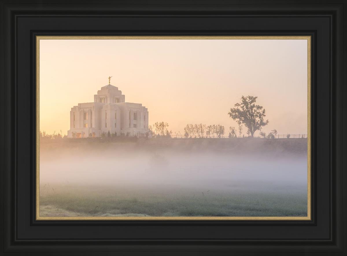 Meridian Morning Fog