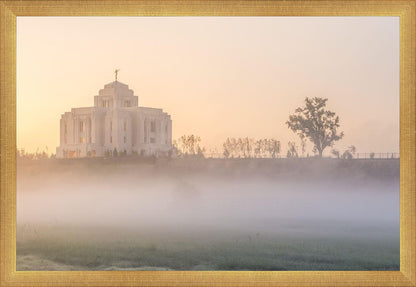 Meridian Morning Fog