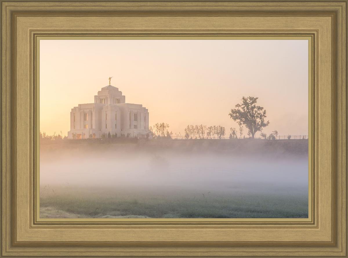 Meridian Morning Fog