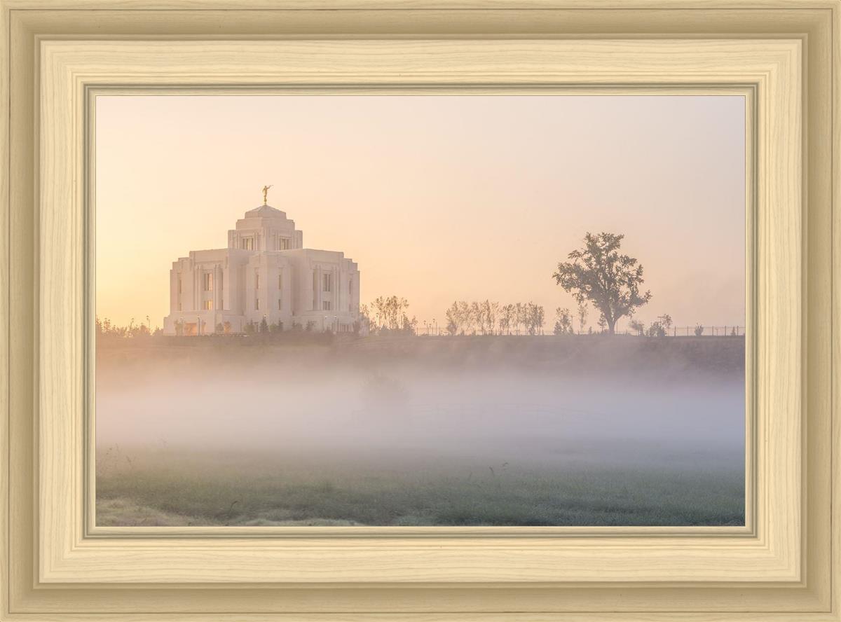 Meridian Morning Fog