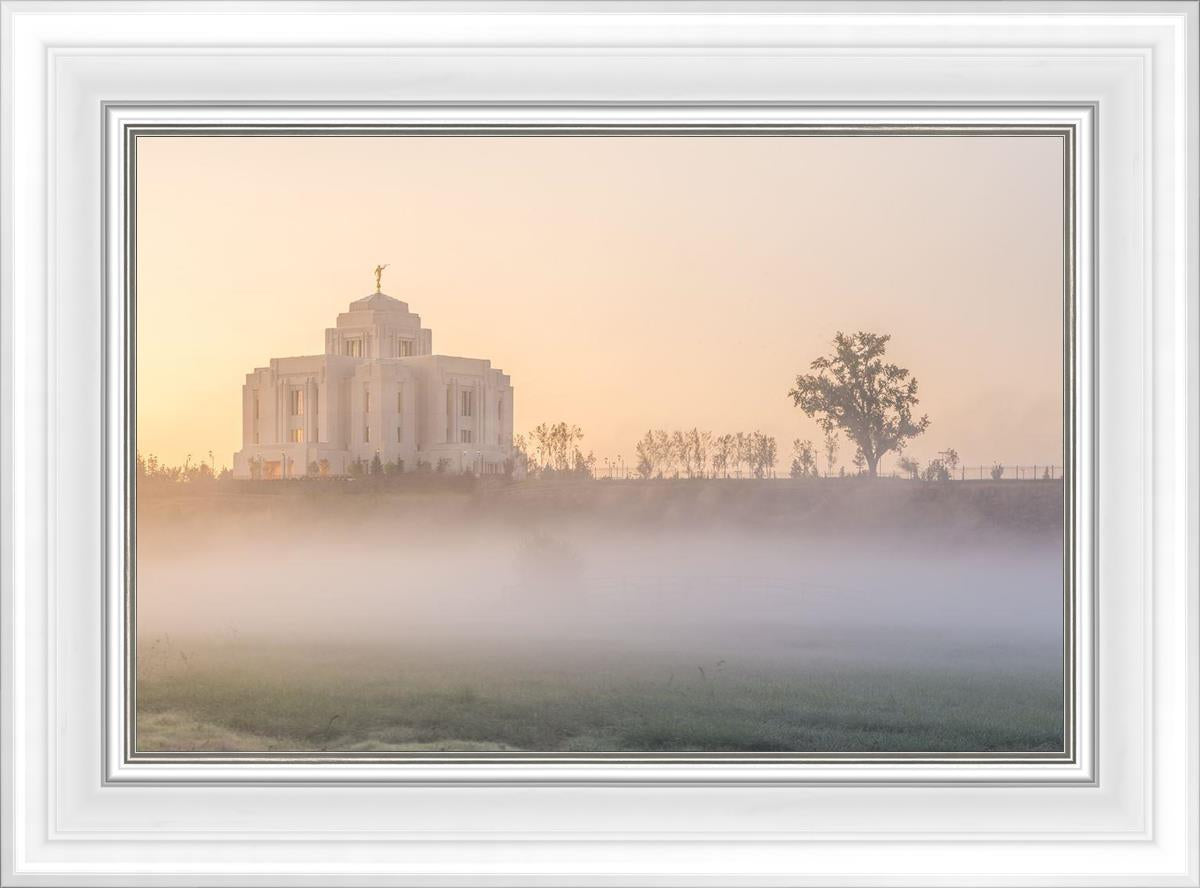 Meridian Morning Fog