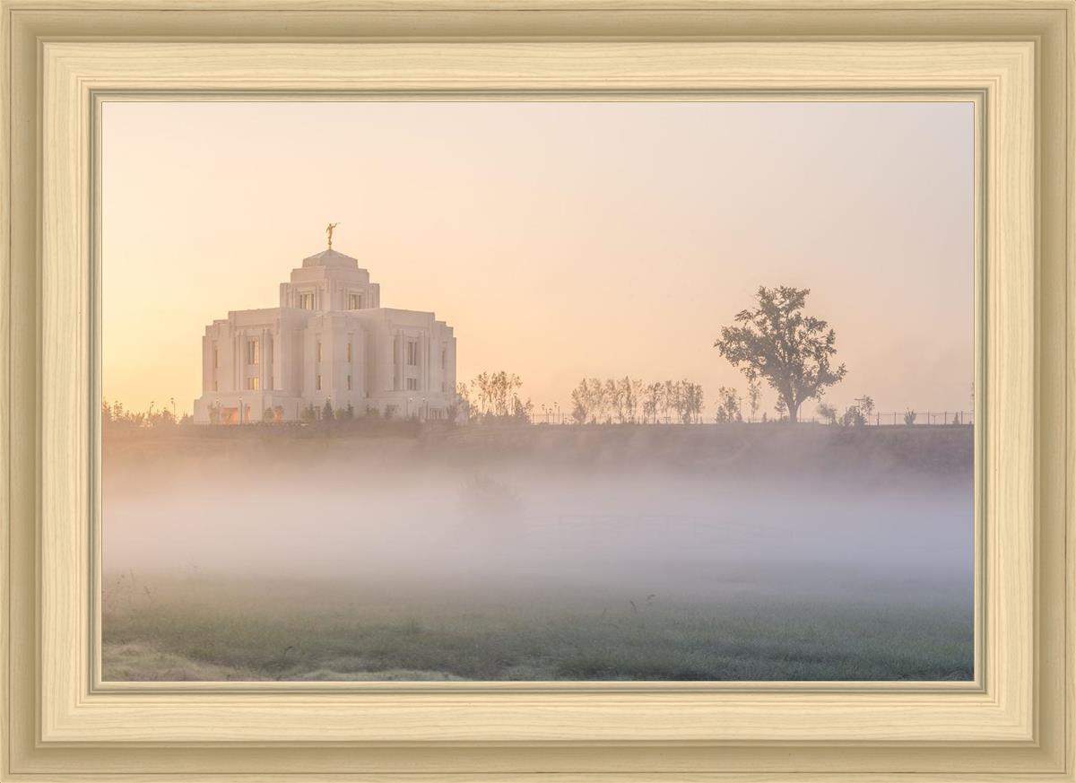 Meridian Morning Fog