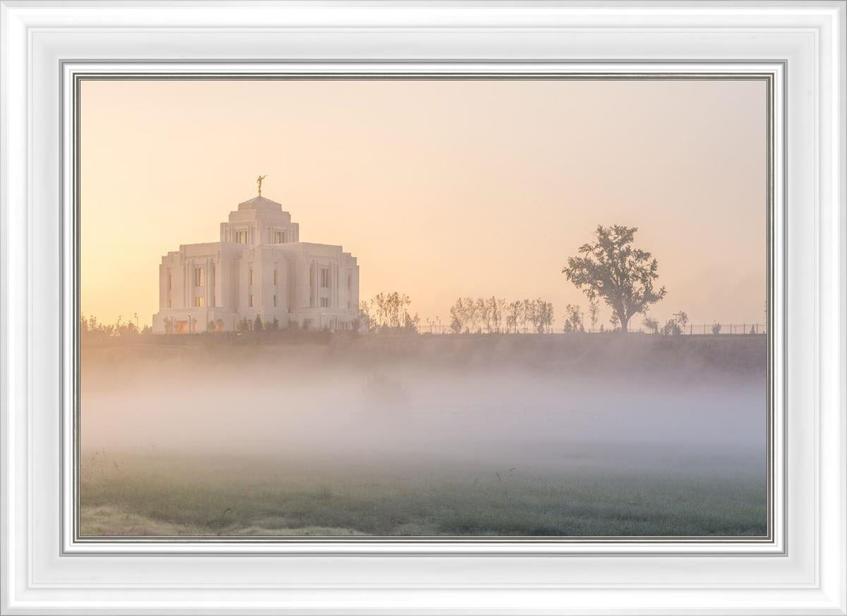 Meridian Morning Fog