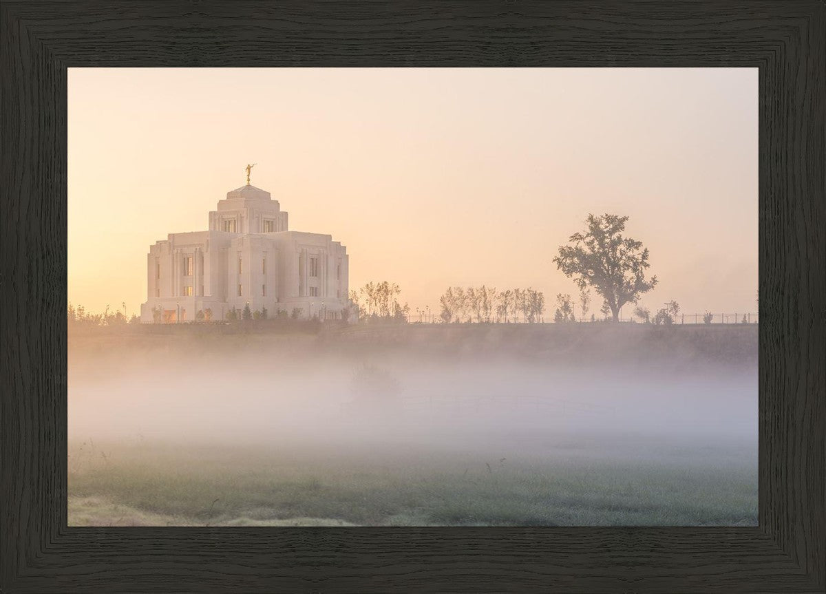 Meridian Morning Fog