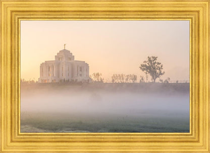 Meridian Morning Fog