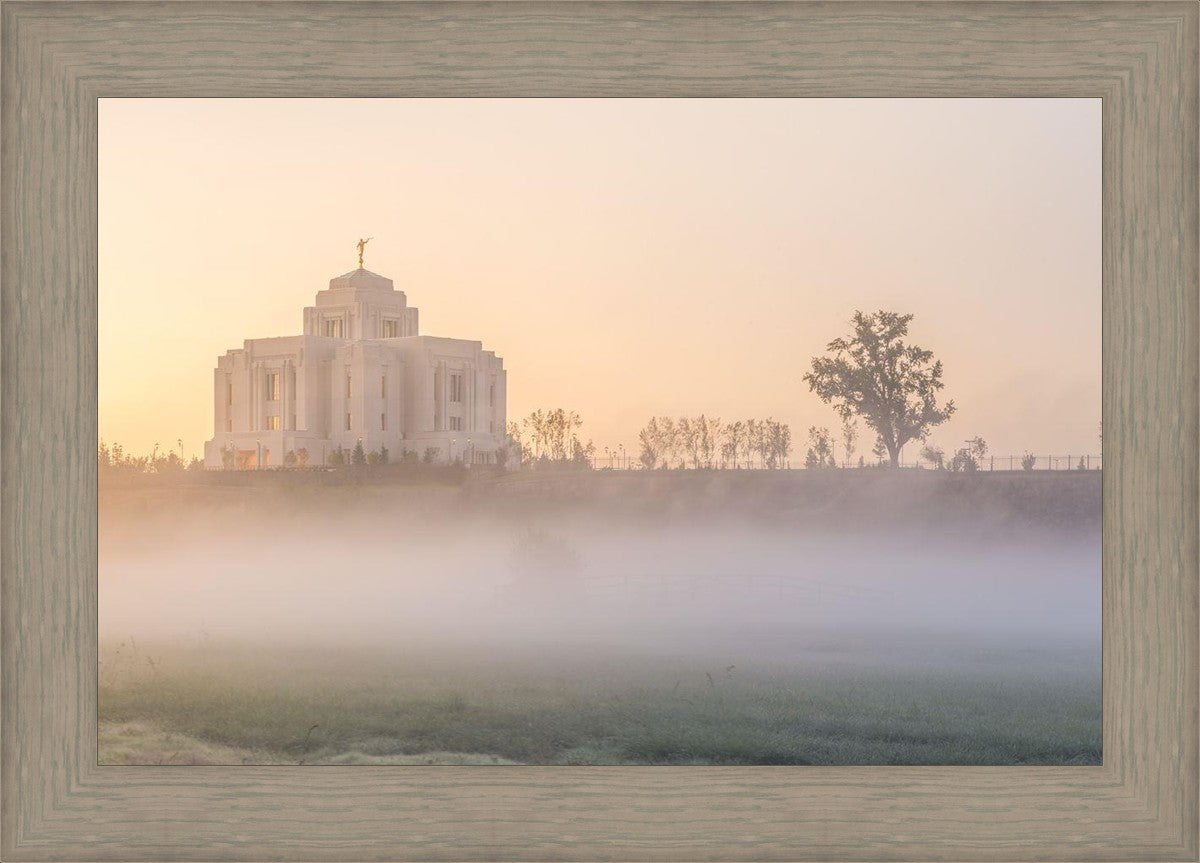 Meridian Morning Fog