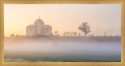 Meridian Morning Fog