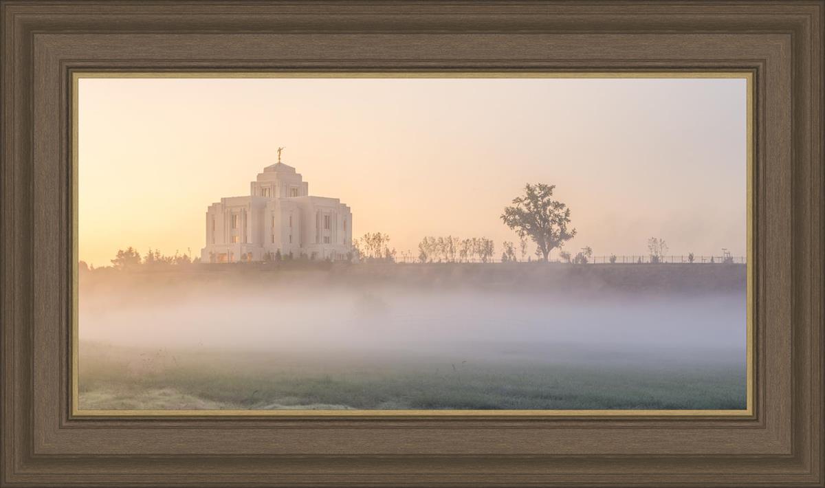 Meridian Morning Fog