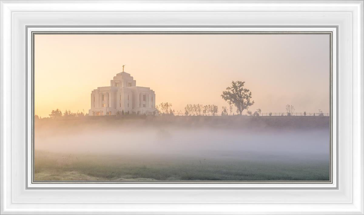 Meridian Morning Fog