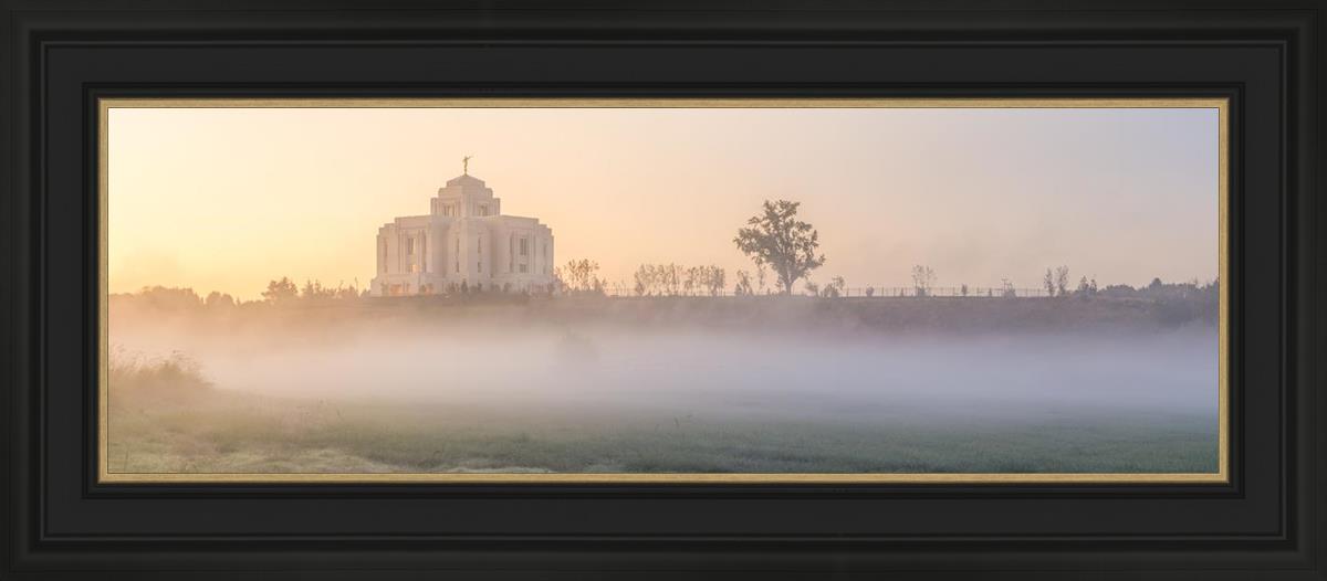 Meridian Morning Fog