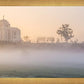Meridian Morning Fog