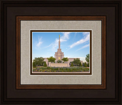 Albuquerque Morning Tranquility