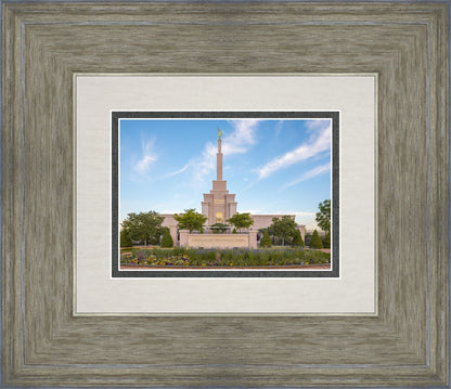 Albuquerque Morning Tranquility