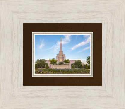 Albuquerque Morning Tranquility