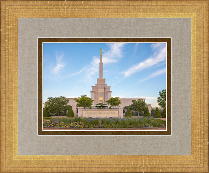 Albuquerque Morning Tranquility