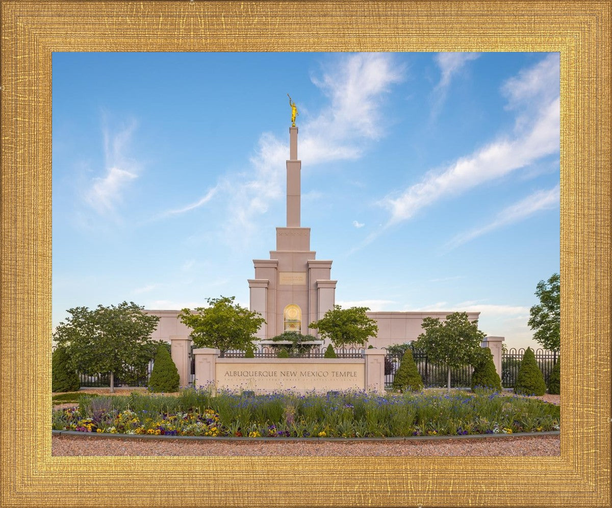 Albuquerque Morning Tranquility