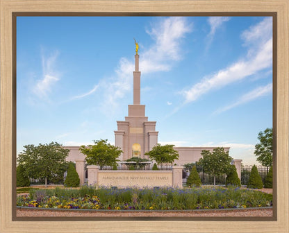 Albuquerque Morning Tranquility