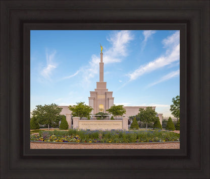 Albuquerque Morning Tranquility