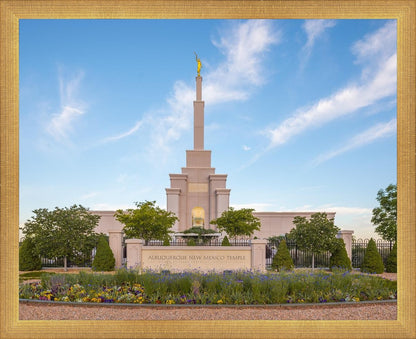 Albuquerque Morning Tranquility