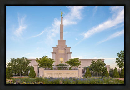Albuquerque Morning Tranquility