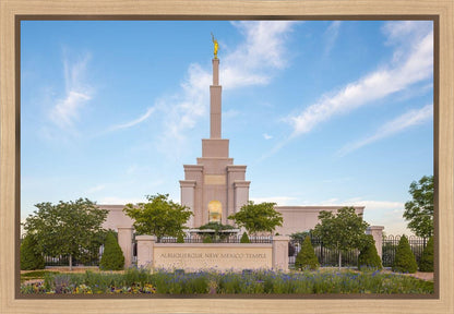 Albuquerque Morning Tranquility