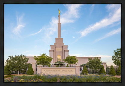 Albuquerque Morning Tranquility
