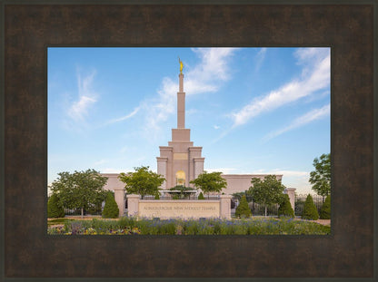 Albuquerque Morning Tranquility