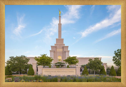 Albuquerque Morning Tranquility