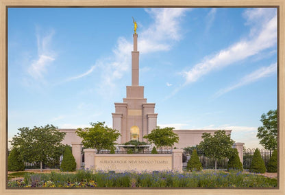 Albuquerque Morning Tranquility