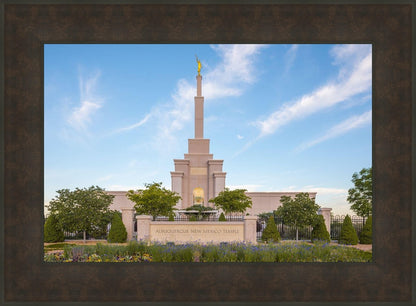 Albuquerque Morning Tranquility