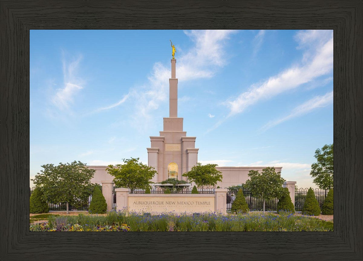 Albuquerque Morning Tranquility