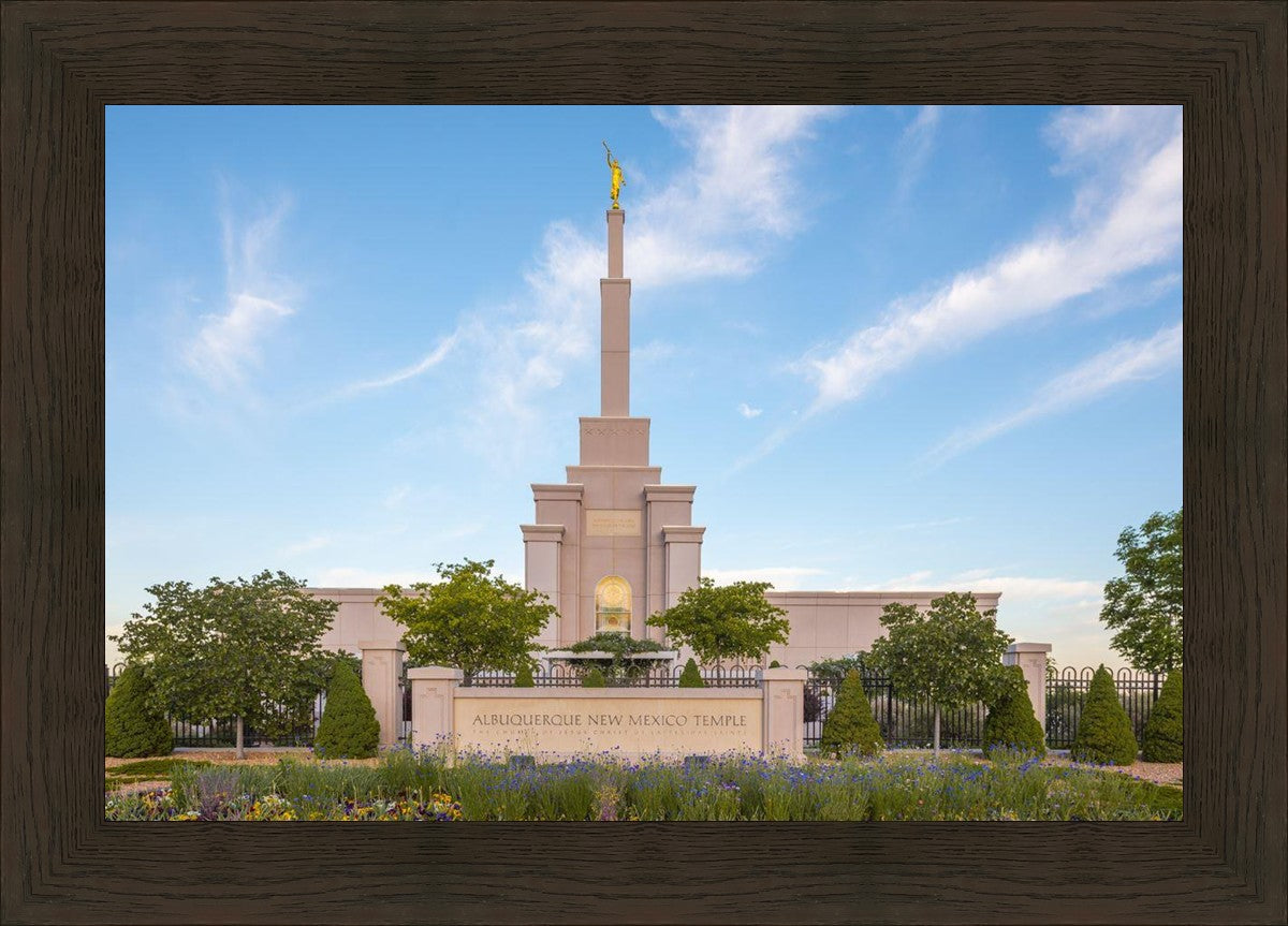 Albuquerque Morning Tranquility