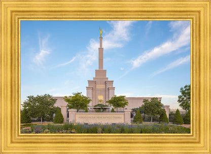 Albuquerque Morning Tranquility