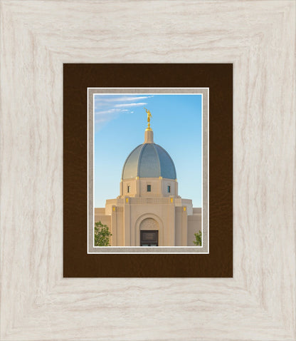 Tucson Morning Glory