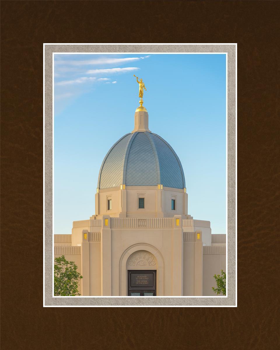 Tucson Morning Glory