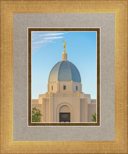 Tucson Morning Glory