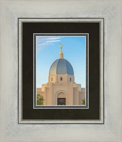 Tucson Morning Glory