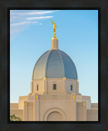 Tucson Morning Glory