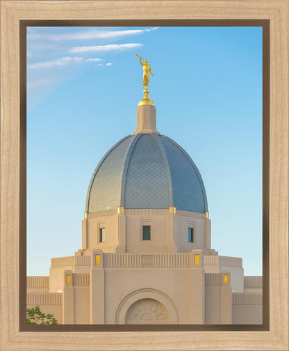 Tucson Morning Glory