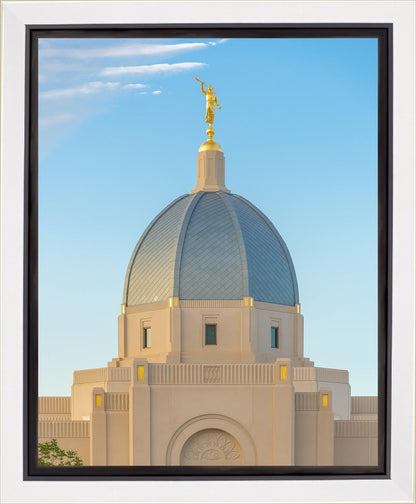 Tucson Morning Glory
