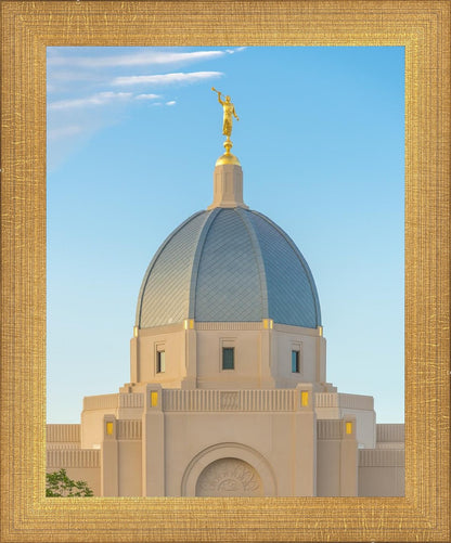 Tucson Morning Glory