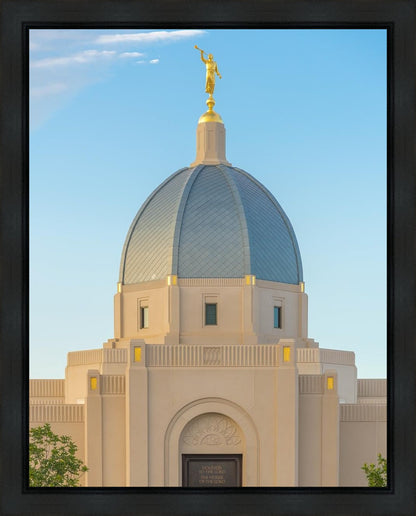 Tucson Morning Glory