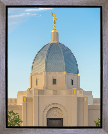 Tucson Morning Glory