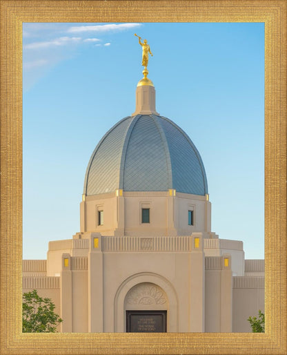 Tucson Morning Glory