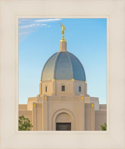 Tucson Morning Glory