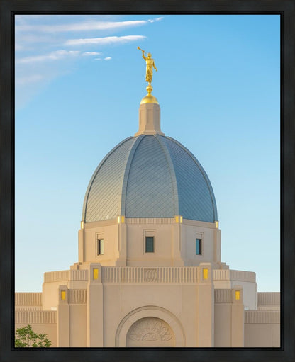 Tucson Morning Glory