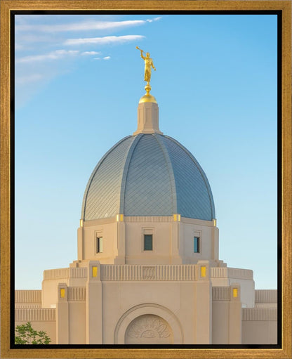 Tucson Morning Glory