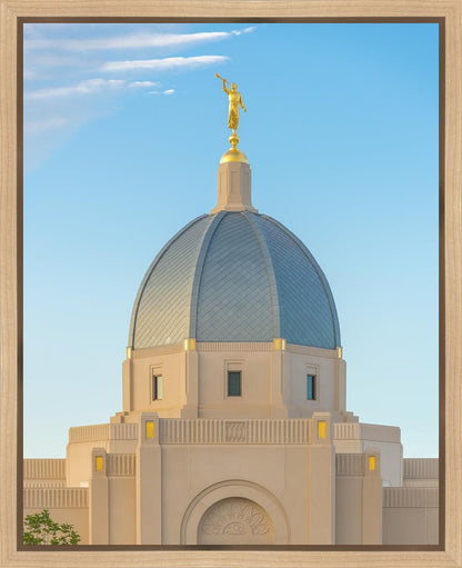 Tucson Morning Glory